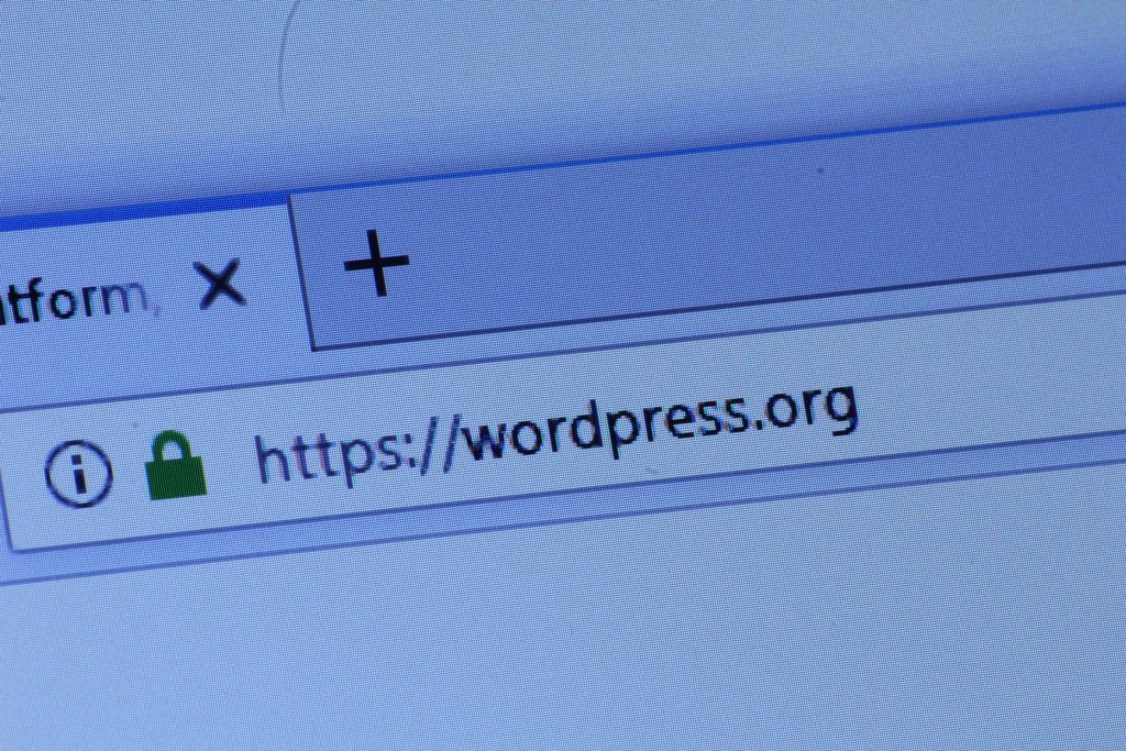 WordPress core <= 6.0.2 - Cross-Site Scripting (XSS) vulnerability